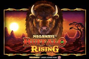 Buffalo Rising