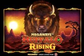 buffalo rising logo