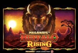 Buffalo Rising recenzja