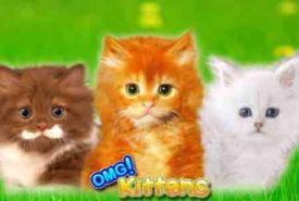 OMG! Kittens recenzja