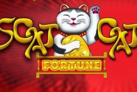 Scat Cat Fortune recenzja