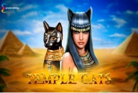 Temple Cats recenzja