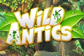 wild antics new