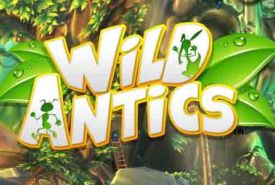 Wild Antics recenzja