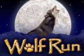 wolf run new