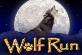 Wolf Run recenzja