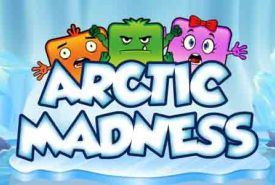 Arctic Madness recenzja