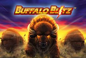 Buffalo Blitz recenzja