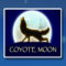 coyote moon wild