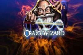 crazy wizard logo