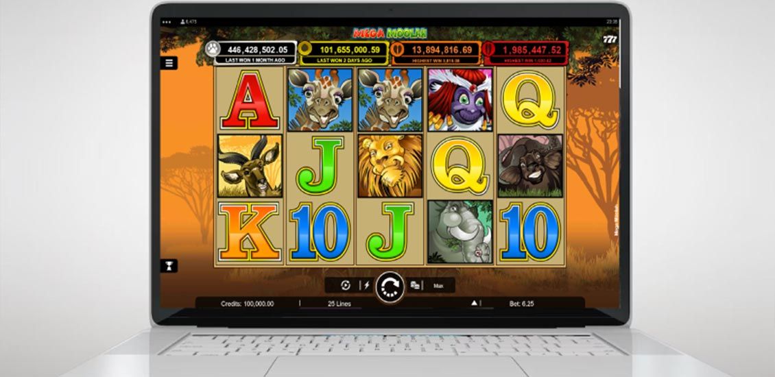 Slot Mega Moolah na ekranie notebooka