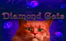 diamond cats slot amatic