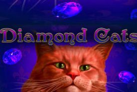 Diamond Cats recenzja