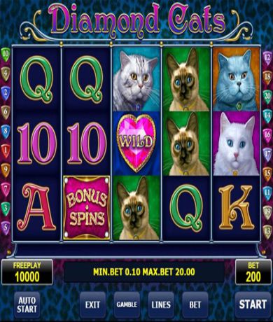 Zagraj teraz w Diamond Cats automat online od Amatic za darmo | Kasynos Online