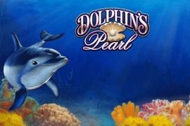 dolphins pearl greentube