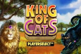 king of cats slot logo