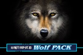 untamed wolf pack free slots