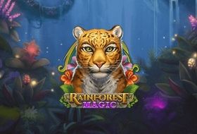 rainforest magic bingo playngo preview