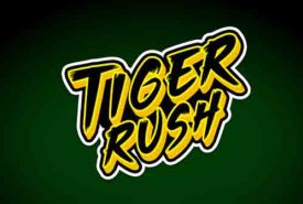 Tiger Rush recenzja