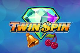 twin spin logo