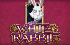 white rabbit slot big time gaming