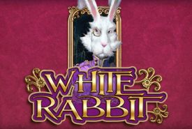 White Rabbit recenzja