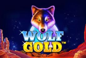 Wolf Gold recenzja