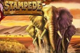 stampede slot logo